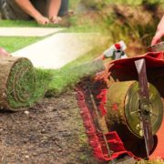 Common landscaping challenges