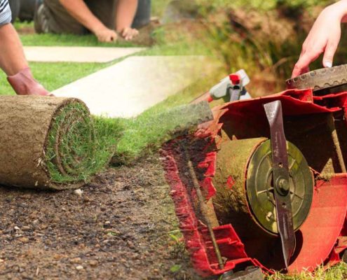 Common landscaping challenges