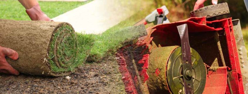 Common landscaping challenges