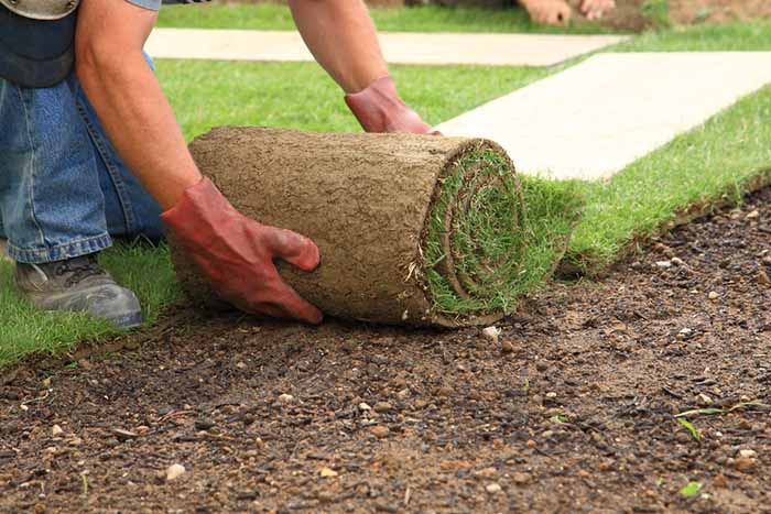 Landscaping estimates